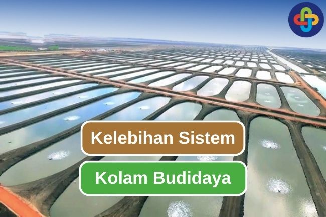 9 Kelebihan Penggunaan Kolam Untuk Budidaya Ikan